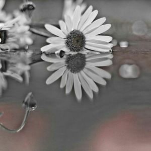 Meet your Posher, Me